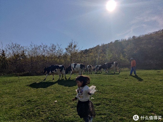 五一大连三寰牧场,大连三寰牧场旅游攻略