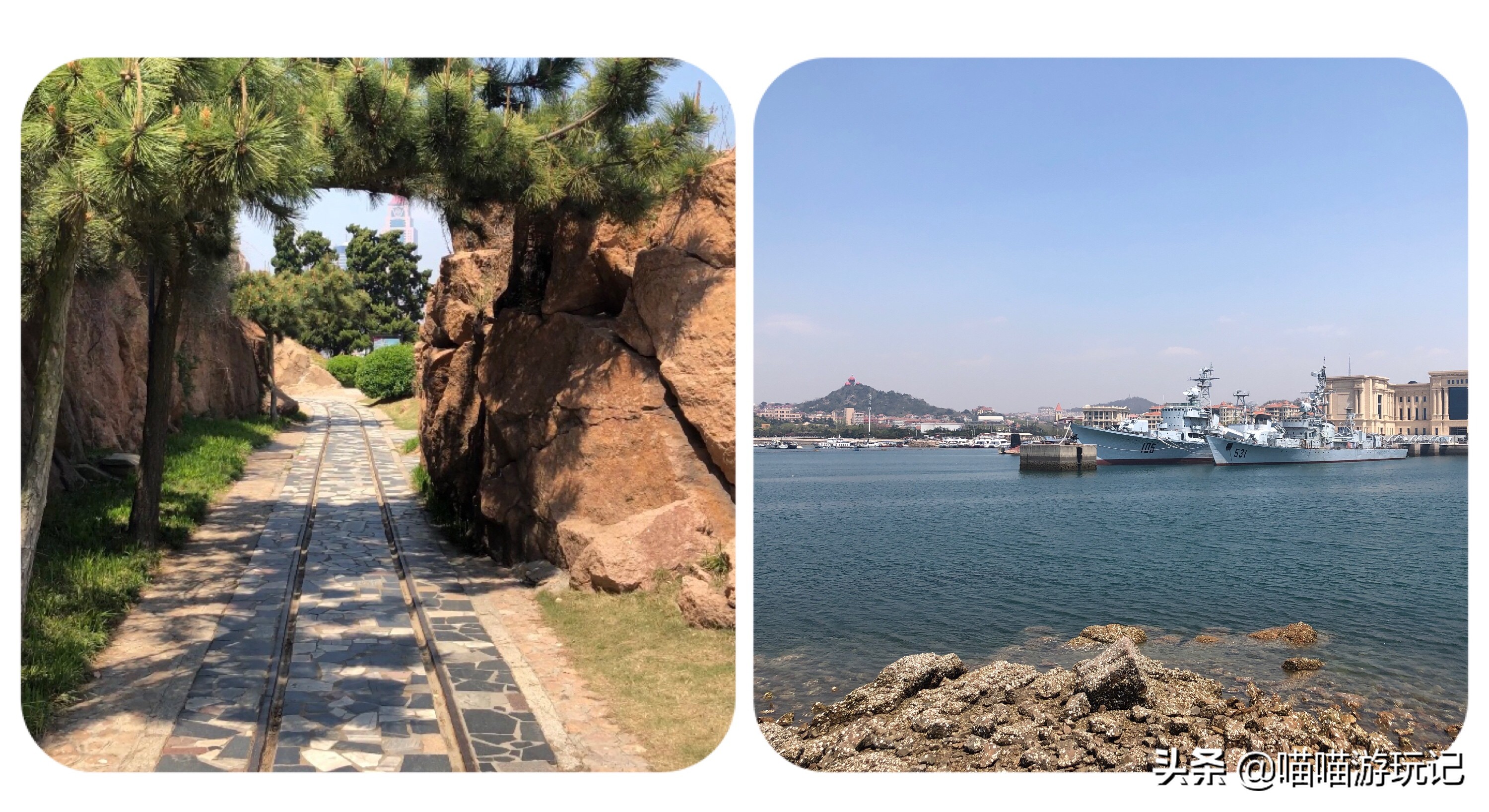 小青岛公园评价,青岛小青岛公园收费