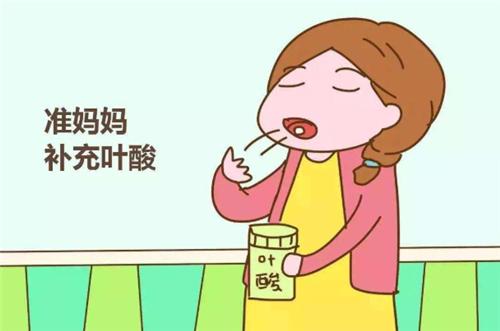 高龄孕妇怀孕初期应补充什么营养,怀孕8周了每天吃什么菜补充营养