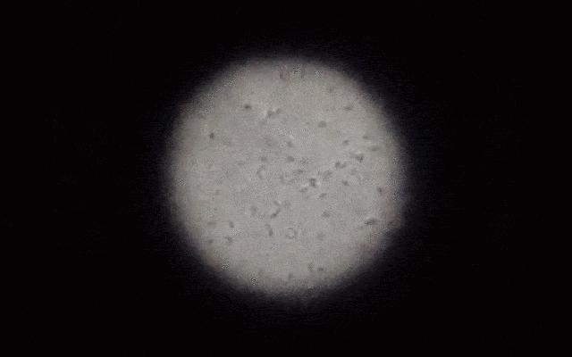 引力波是重大发现吗,人类终于找到的引力波值不值