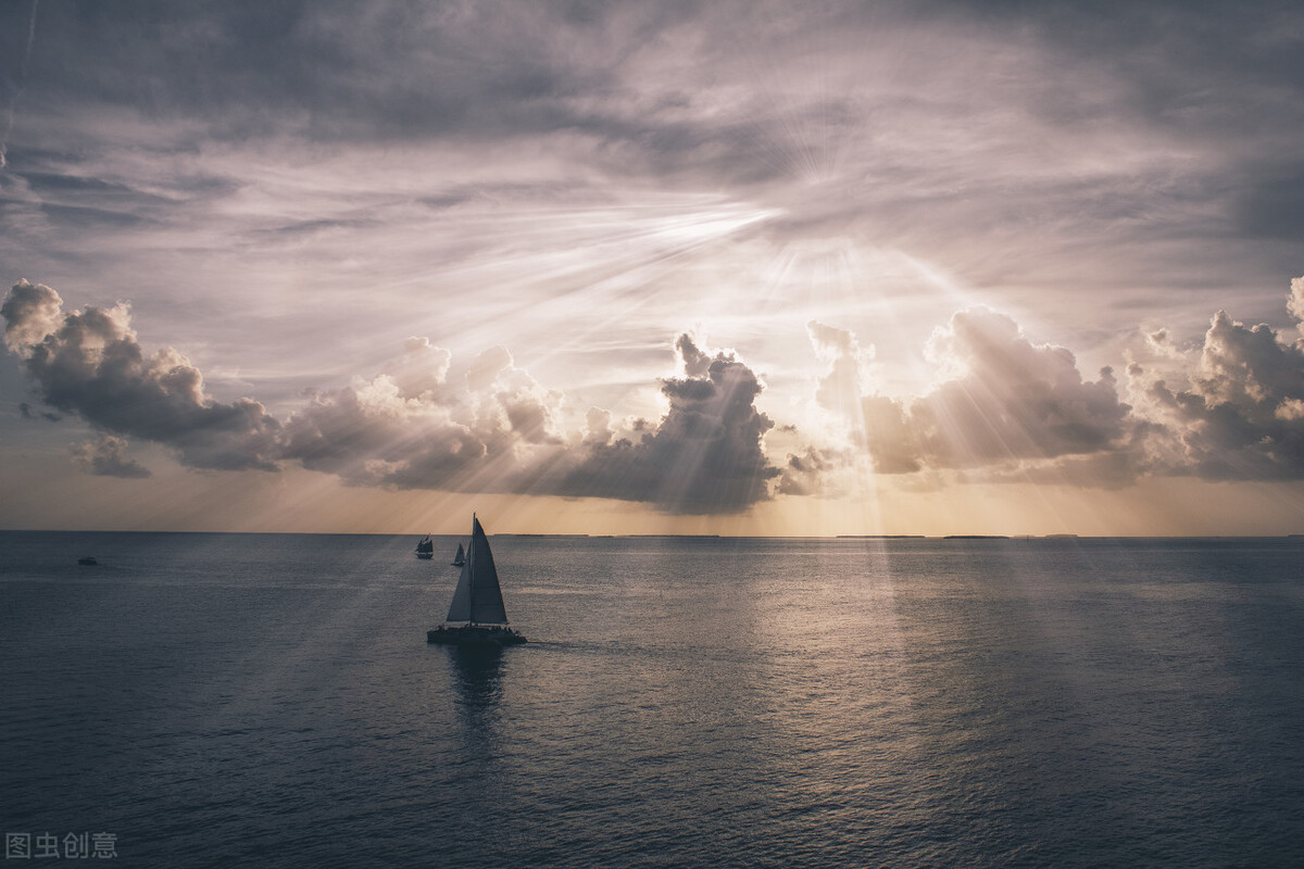 宜暖居周波：交叉路口的抉择，随风而起，抓住迎风而上的翅膀