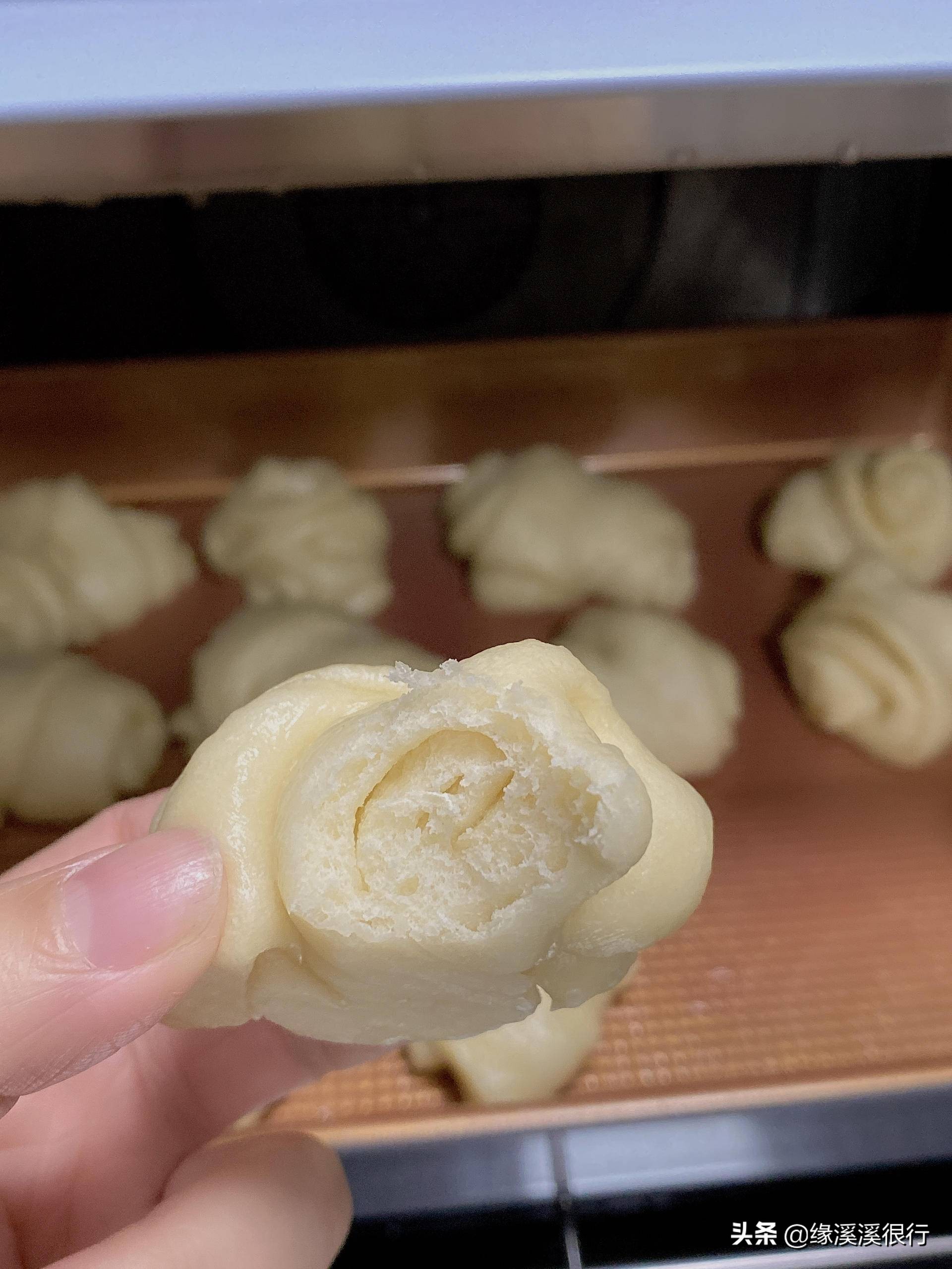 蒸烤一体机凯度zdpro测评,凯度蒸烤一体机评测