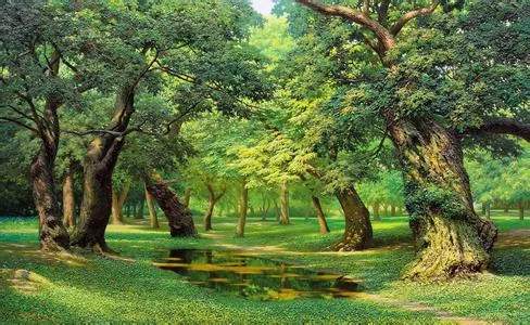 自然之美陶冶人的心灵,用心去感受自然之美