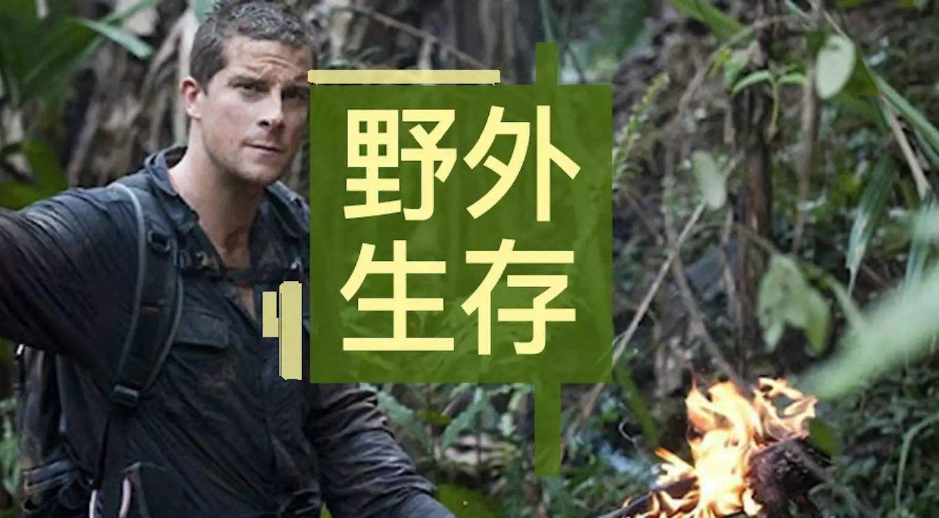 如何在野外寻找水源,野外寻找水源和净化水的小诀窍