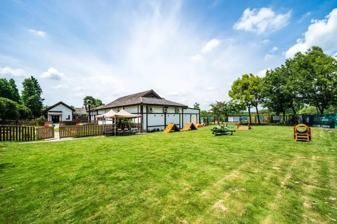 2022年上海遛狗圣地,2021上海遛狗圣地