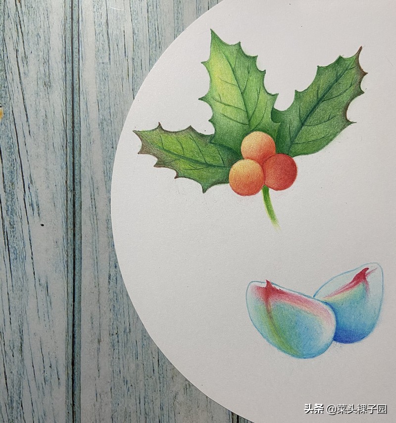 马可大师级彩铅,彩铅测评马可大师