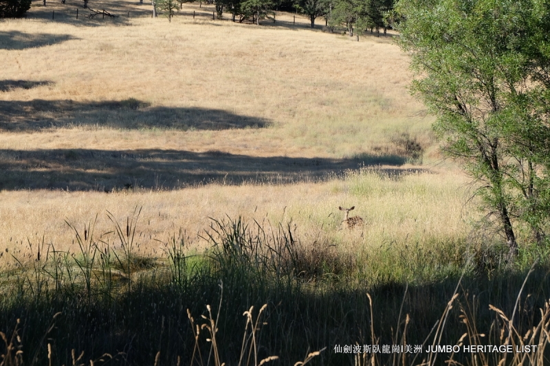 第3045回：人生一世草生一春，来如风雨去似微尘