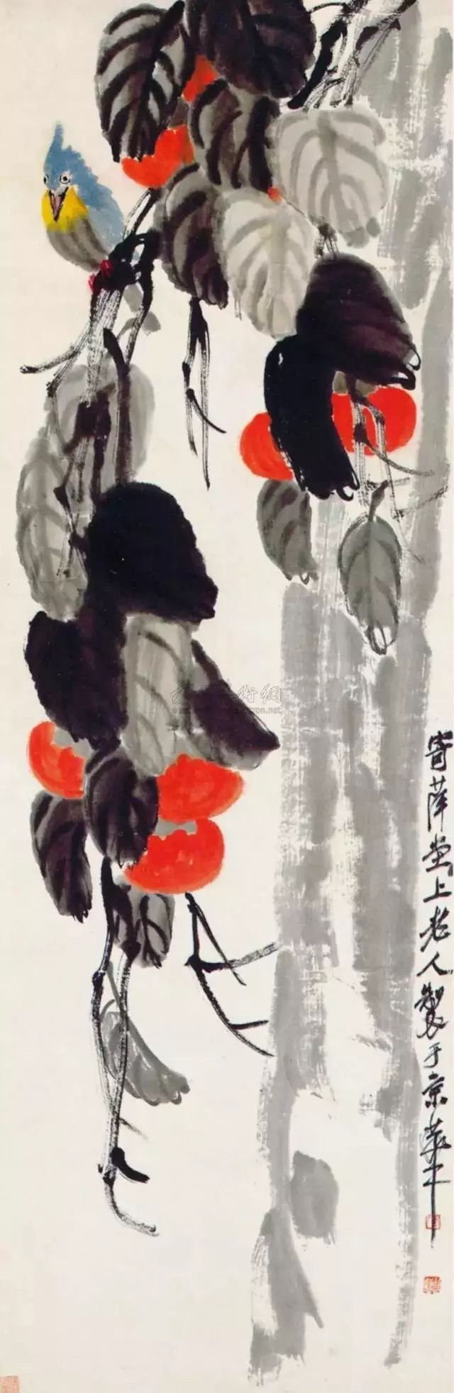 写意柿子叶的画法步骤图,徐湛写意柿子的画法