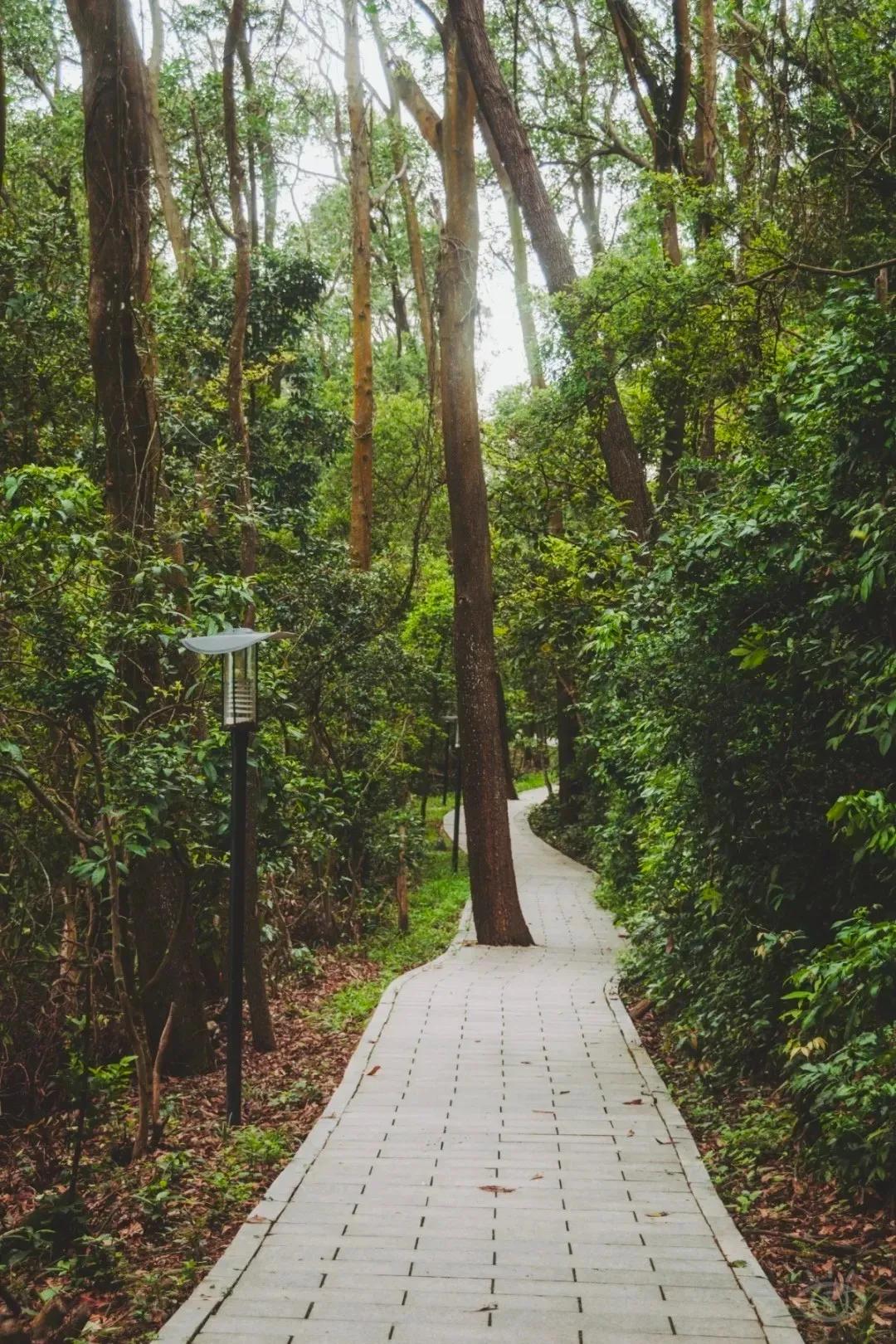 深圳值得打卡的建筑物,深圳最值得打卡的山