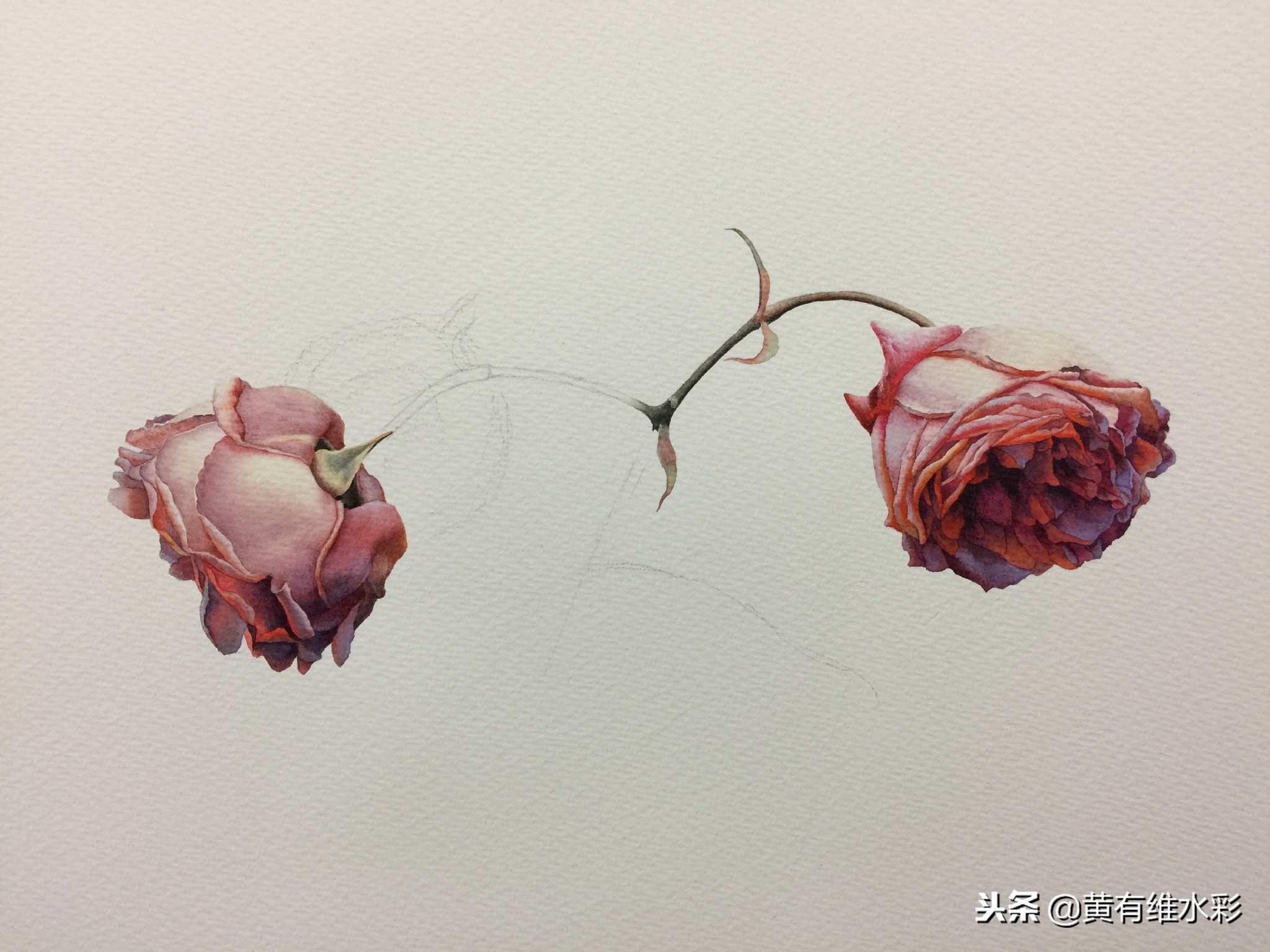水彩教程简单好看手绘图片,水彩教程画花