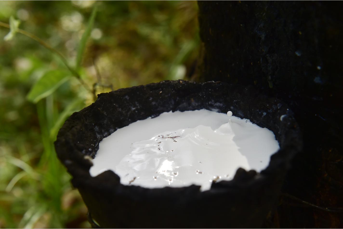 泰国乳胶枕官方旗舰店 (泰国乳胶枕三大品牌与价格)