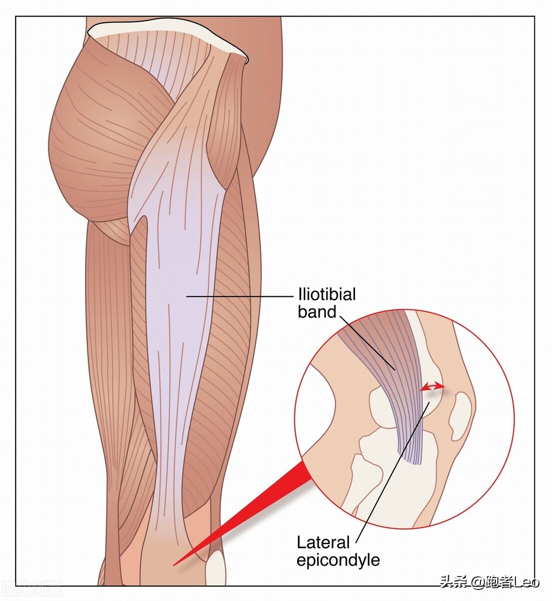 你的跑步,你真的热爱跑步吗