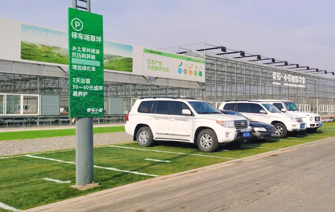 蒙草快乐小草亮相全国发明展览会,蒙草生态快乐小草产品