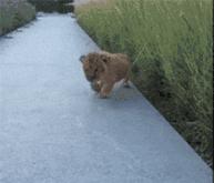 今天过来按脚,恰巧碰见了前女友,我该怎么化解尴尬呢?哈哈哈