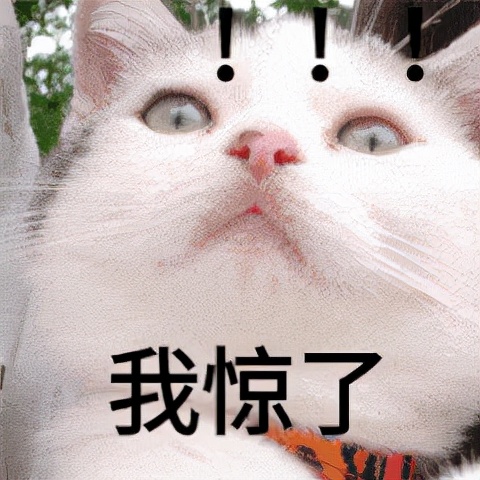 一定要重视！比如挑选女士*裤内**这件事