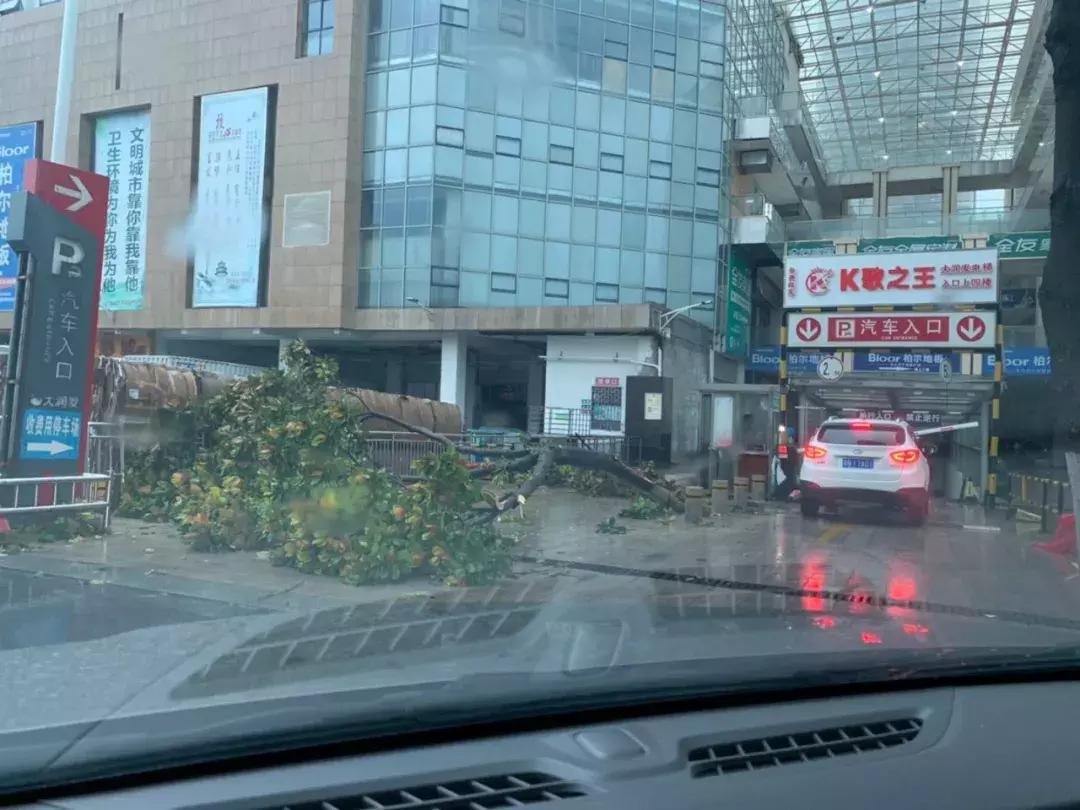 泗洪周边暴雨最新状况,泗洪大雨暴雨视频最新