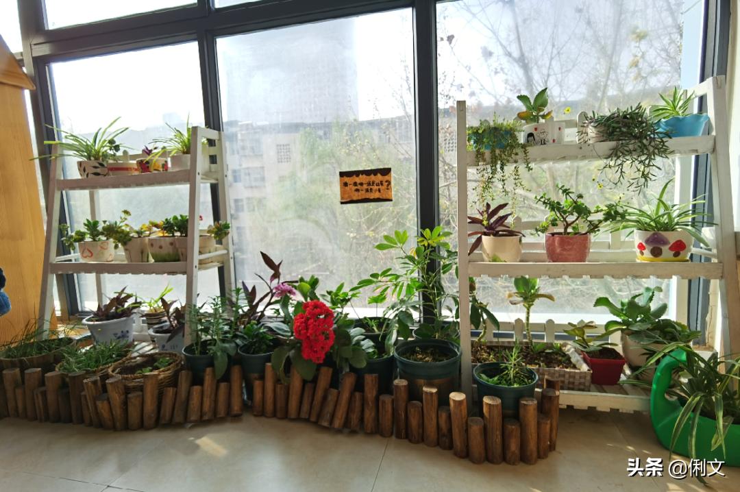 品名园、办高质量的教育——河南省名园园本课程建设交流活动