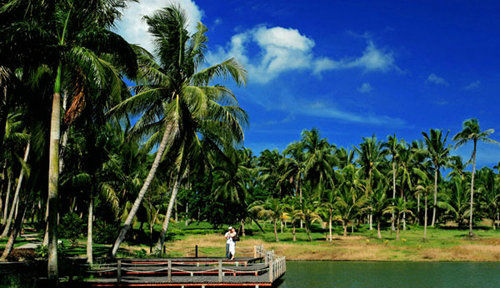 南京出发到海南自驾游攻略图,南京到海南自驾游路线和风景点