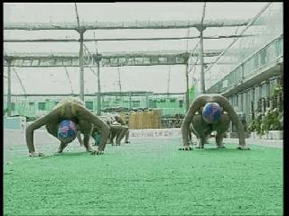 自由泳滚翻转身蹬壁,前滚翻动作练习方法步骤