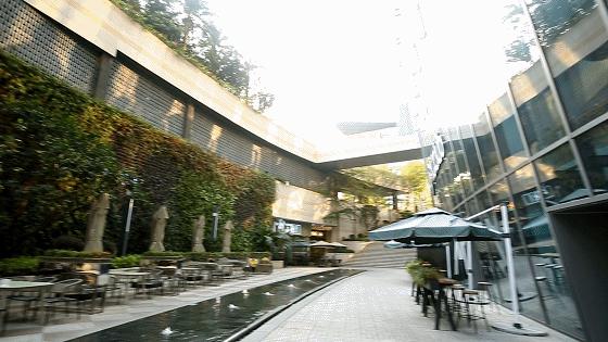 宝藏西餐店铺,宝藏西餐厅视频大全