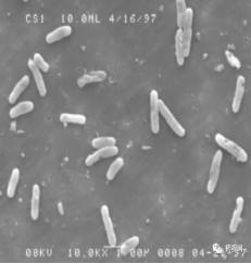 「德斯特GMP」制药用水问答集锦（上）