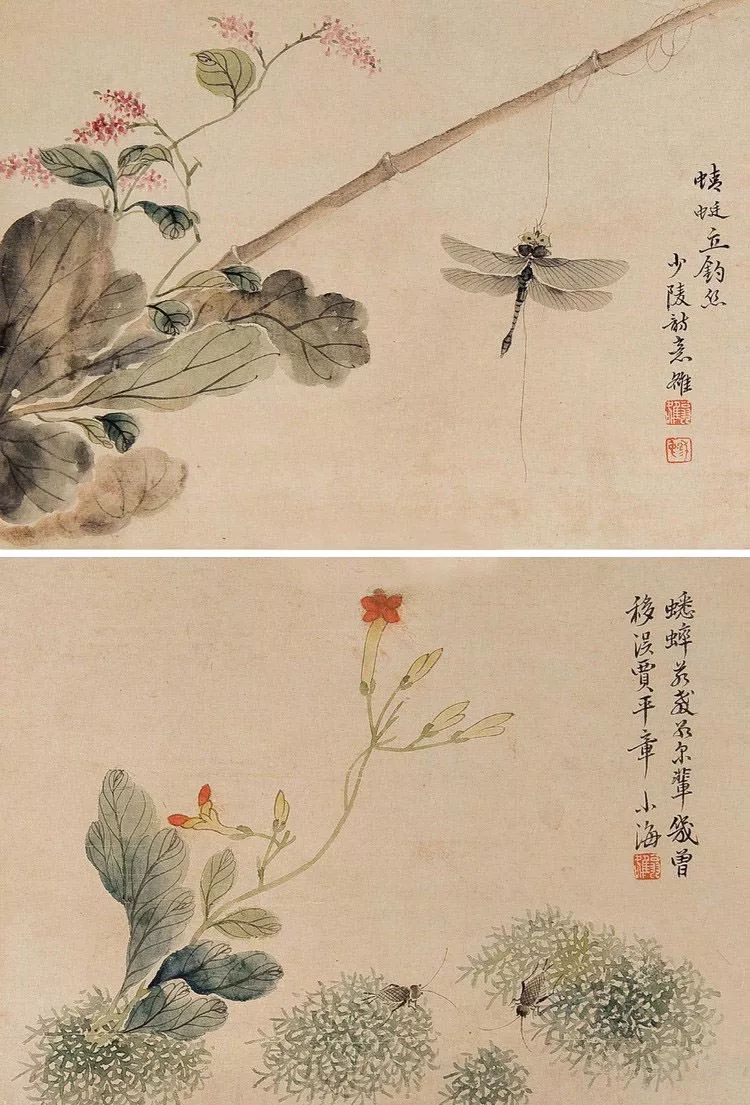 清代花鸟鱼虫画,清代国画名家花鸟鱼虫