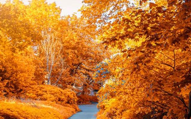 阜新育才尚品幼儿园老师,育才尚品幼儿园属于什么园