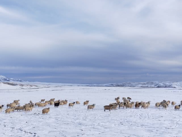青海湖最美公路在哪,青海湖附近小众秘境