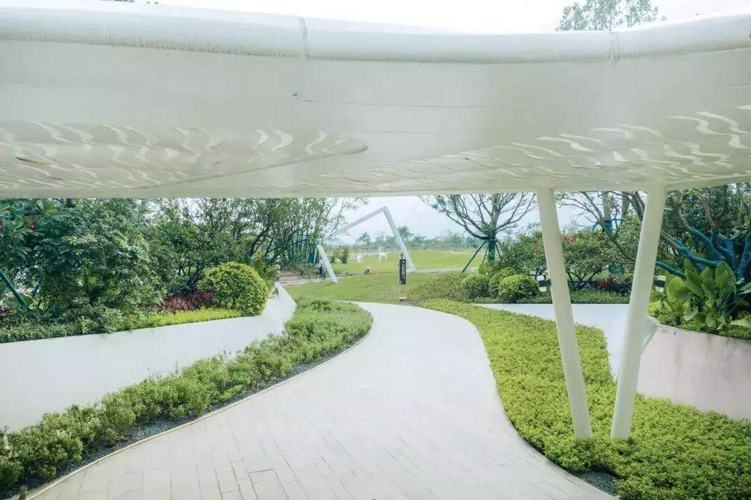 道天画卷寂然归心|怡品之珠海九洲保利天和·鹭语展示区