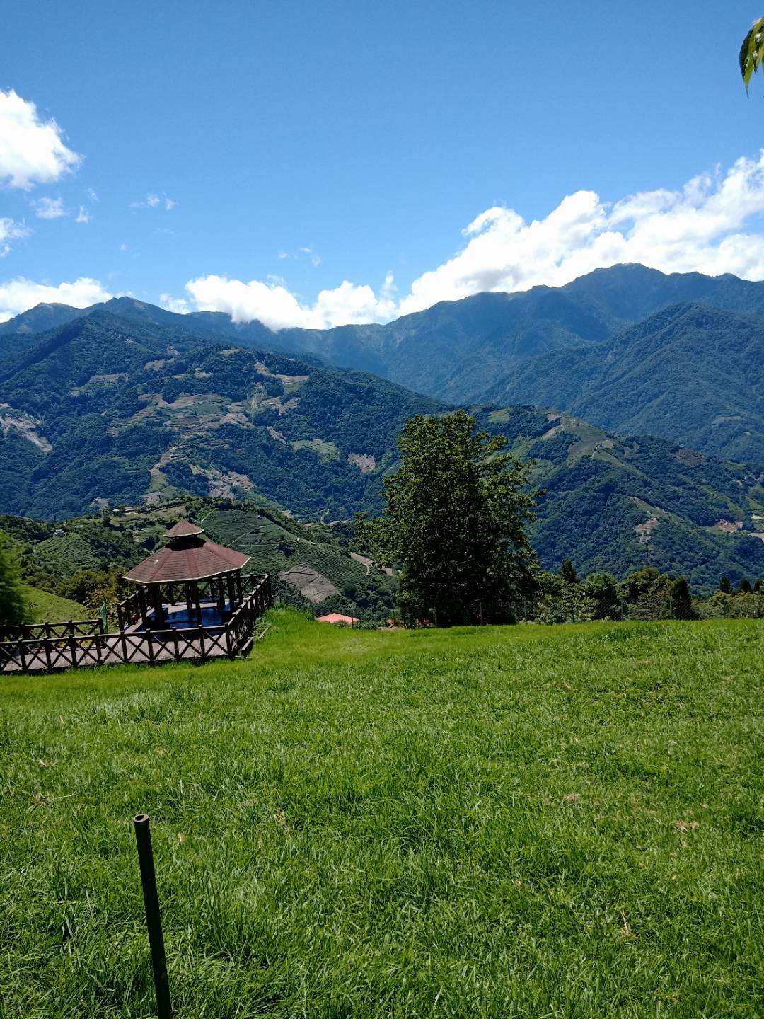 台湾农场冬天旅游攻略,台湾清境农场旅游