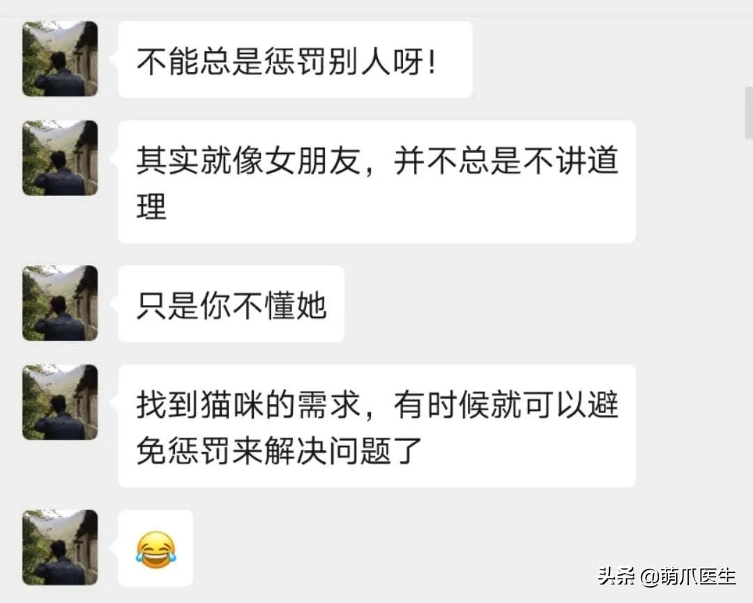 打猫可以纠正猫的坏行为吗,猫犯错了可以关起来吗