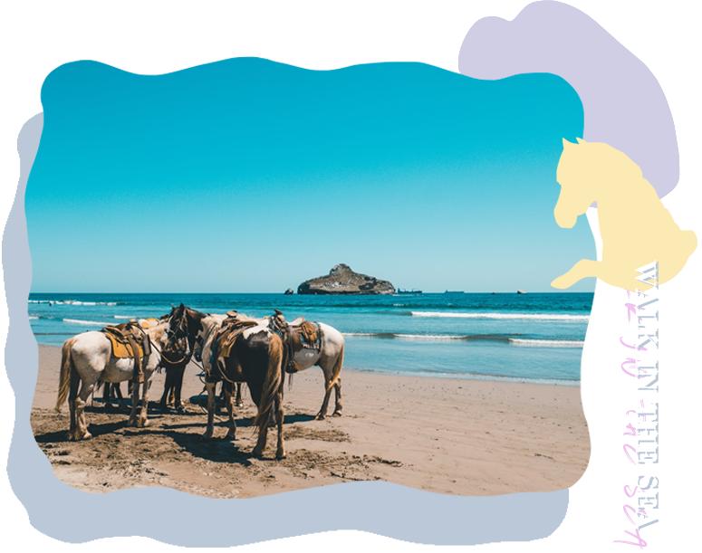 瓦努阿图陆地跳,瓦努阿图怎么玩