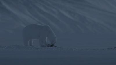 豆瓣netflix电影,bbc地球奇观纪录片