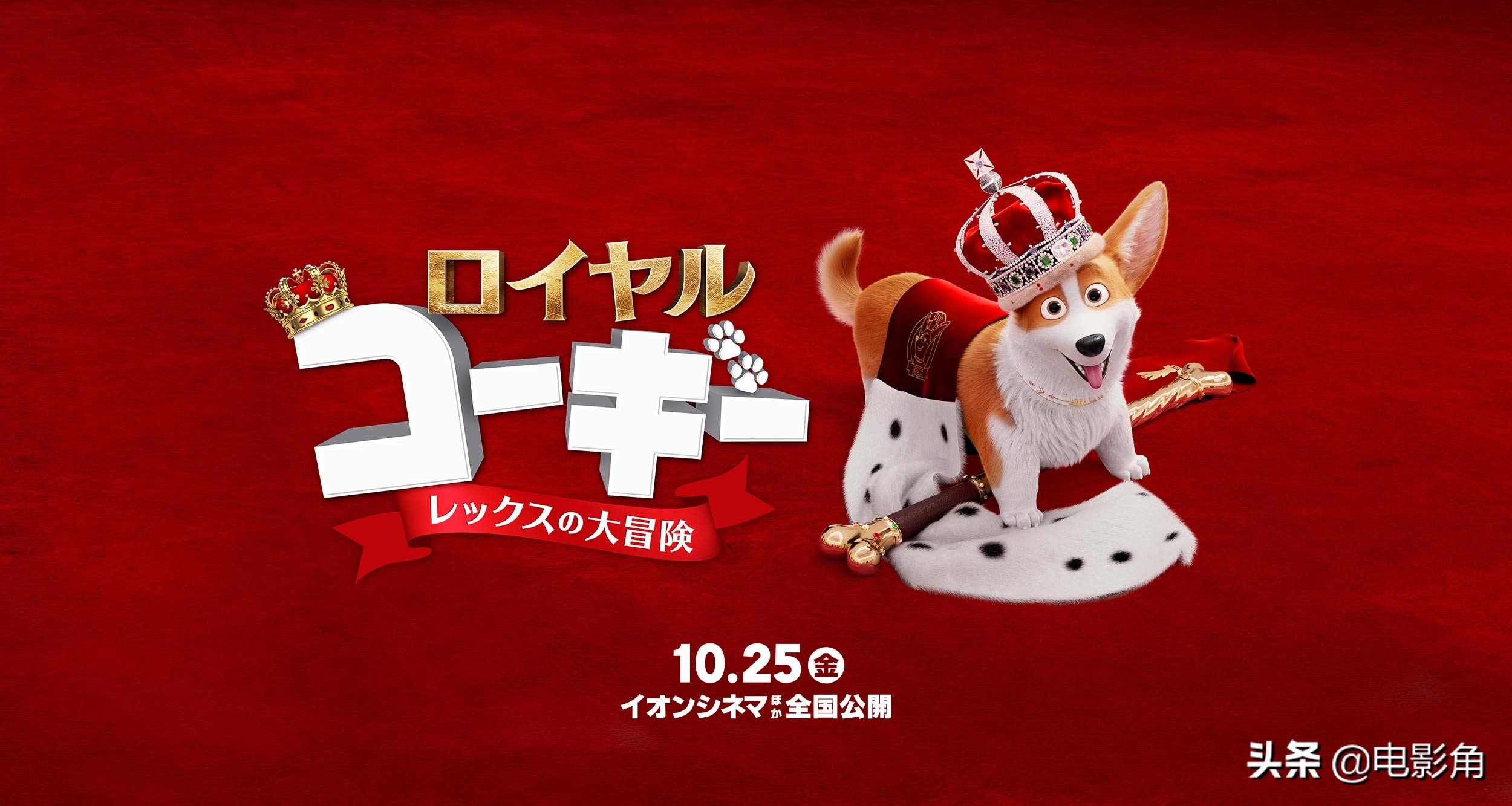 女王的柯基打败比特犬,女王的柯基季冠霖