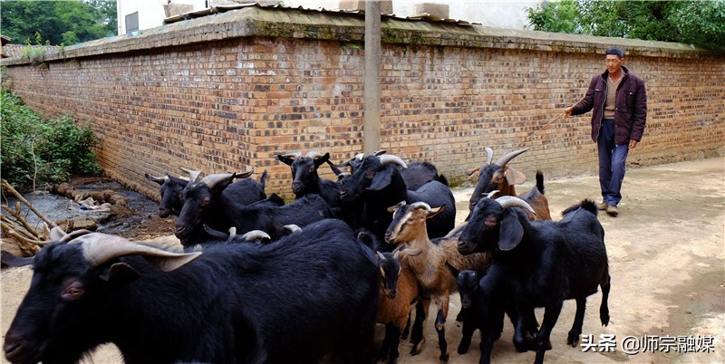 麻栗坡社区居民的贴心人,村民的贴心人原唱