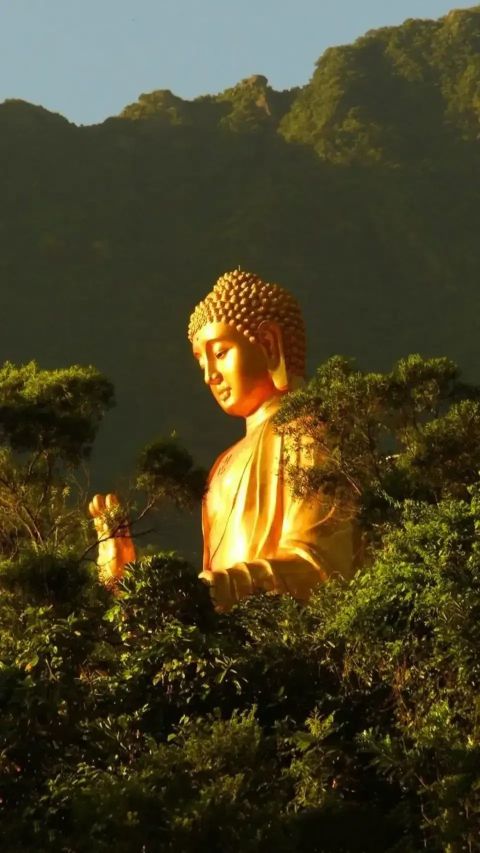 百看不厌的手机壁纸美图精选,佛系壁纸高清全屏无水印