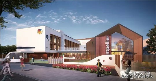 大源片区小学排名,高新区大源片区学校排名