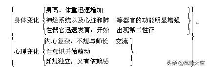 人教版七年级下册《生物》知识点总结，在家自学必备