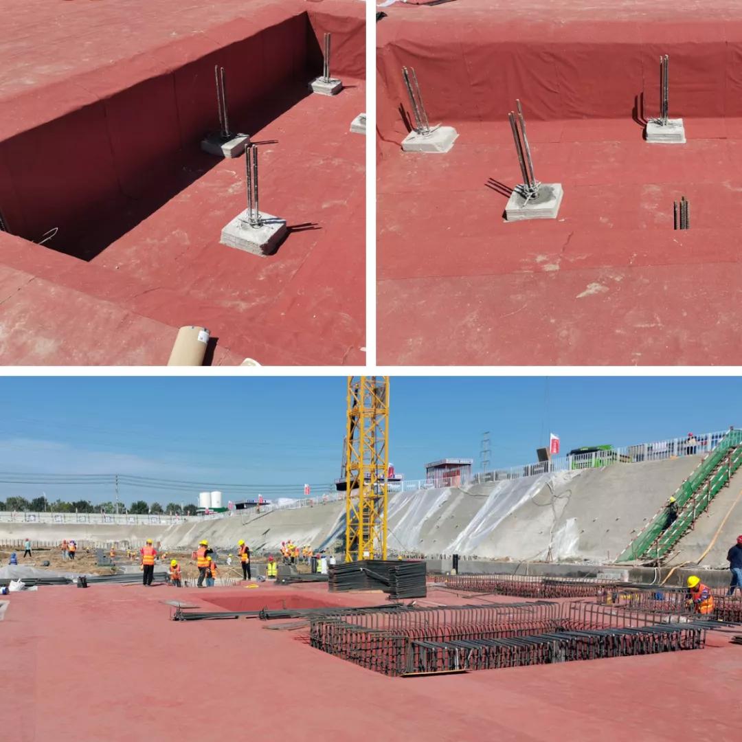 卓宝防水白富美,出手即证明高大上翻译