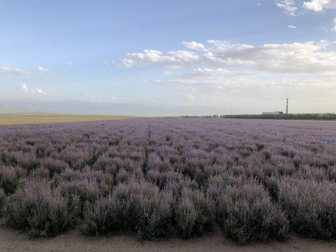 亲子游3天2晚郑州,暑假遛娃郑州