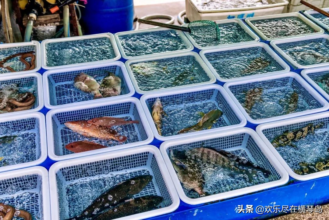 东澳岛攻略,东澳岛旅游攻略