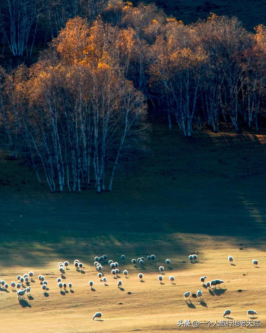 初秋适合去的小众宝藏地,这些宝藏去处你打卡了吗