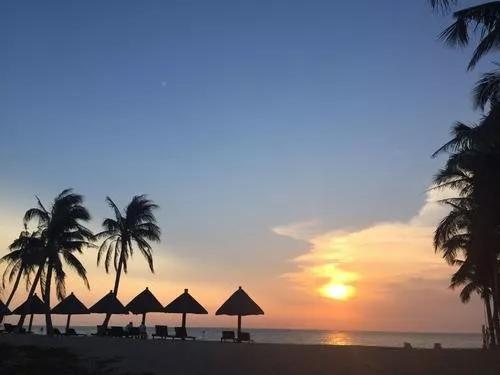 海南自贸港的全景,海南自贸港最新信息乐东