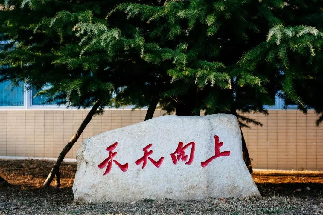 辽宁省高校(三十二)大连外国语大学