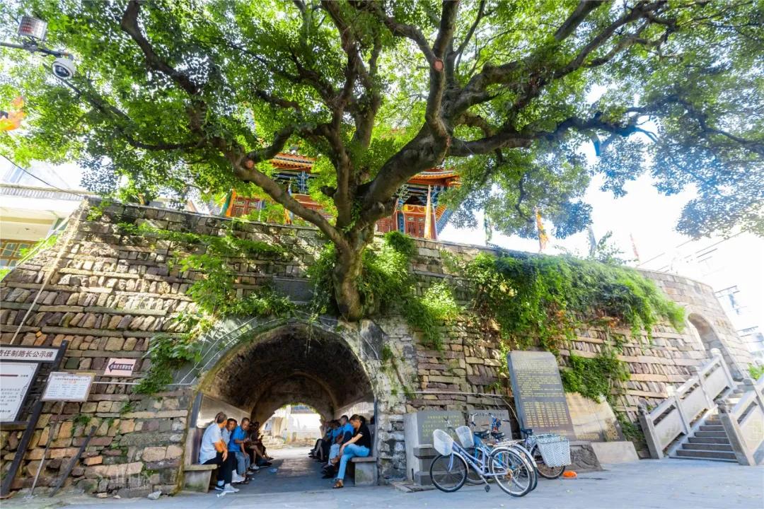 这个初秋，一起漫游这个温州老城，走进光阴封存的故事