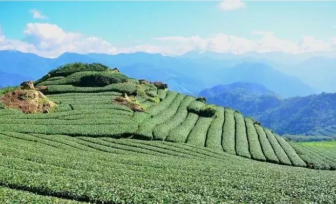 2019海峡两岸大学生夏令营,两岸青年交流夏令营全文阅读