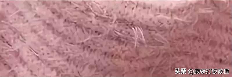 面料知识服装,面料知识500例