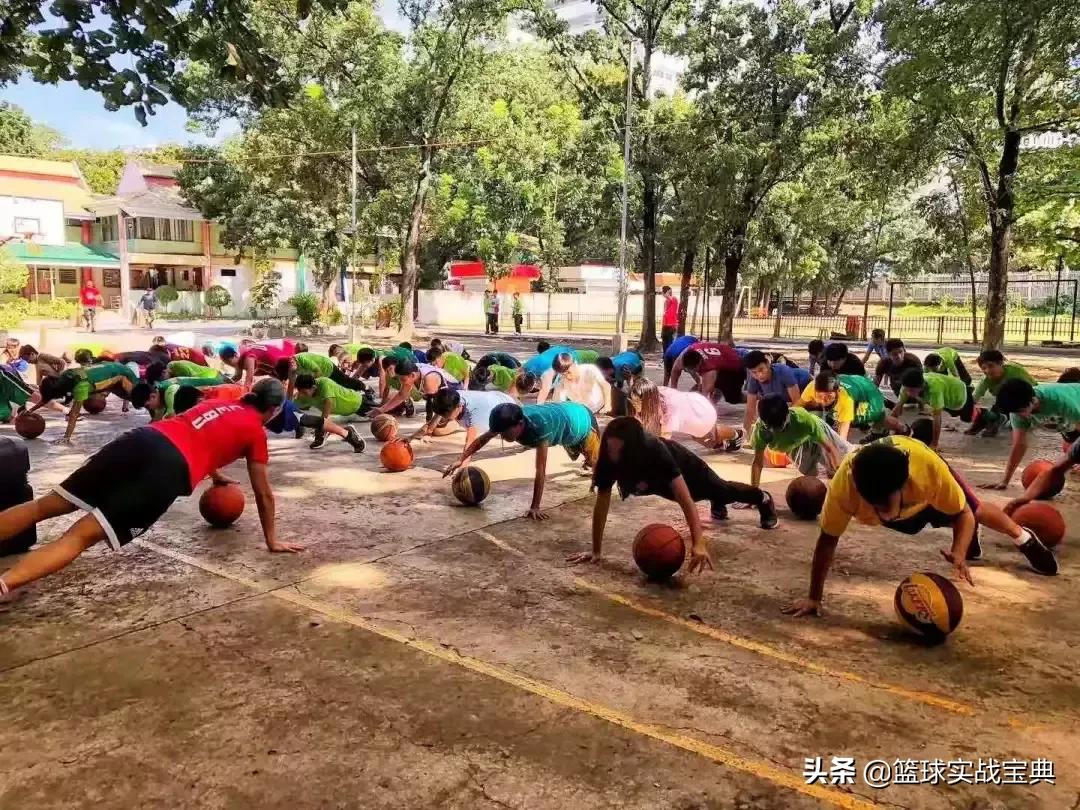 消灭小黑飞最高效最彻底的方法,消灭篮球小白