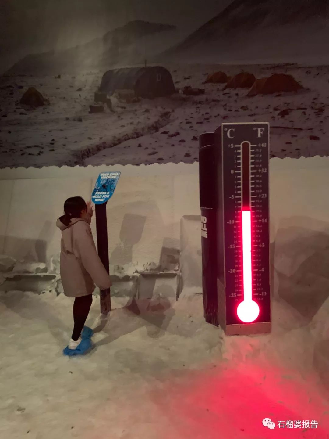 旅行7天,七天游记的视频在线观看全集高清