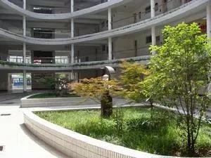 小升初民办摇号可以填几个学校,小升初参加派位的民办学校